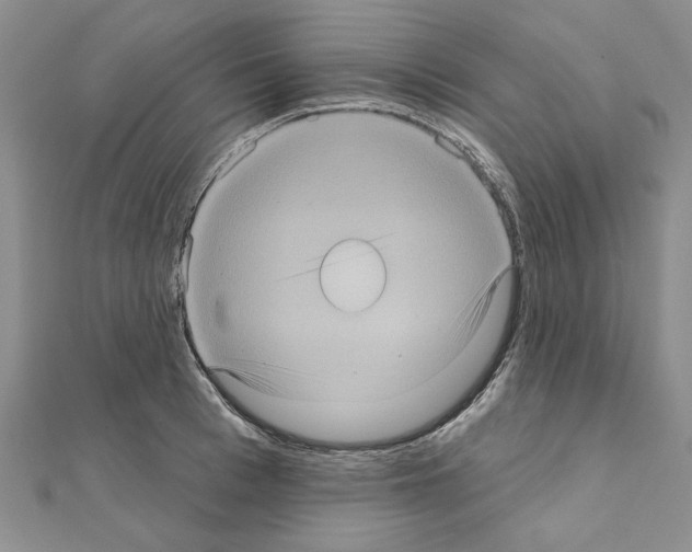 X0000111050993200908061514