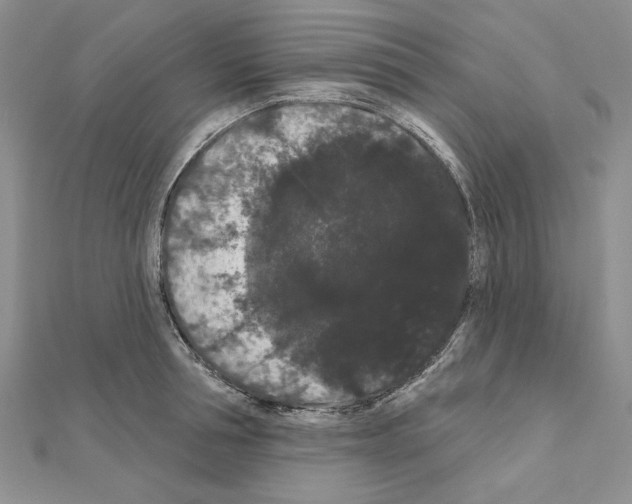 X0000111050994200908061514