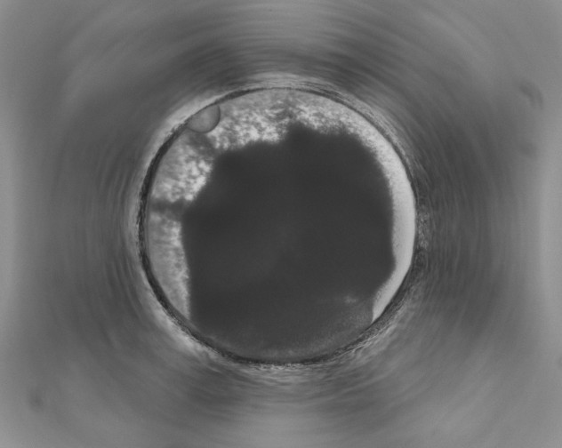 X0000111050995200908061514