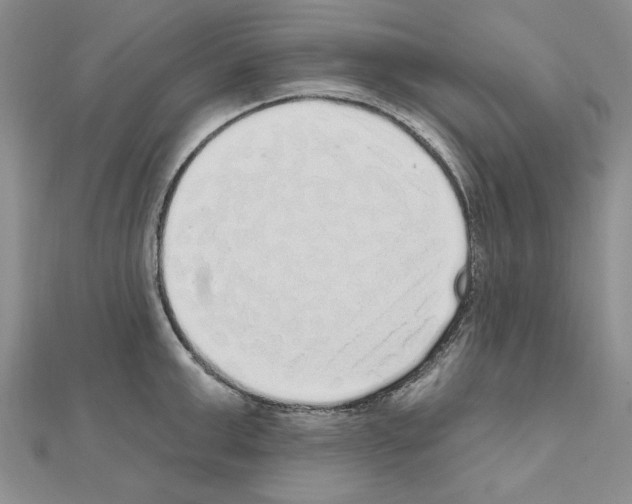 X0000111050999200908061514