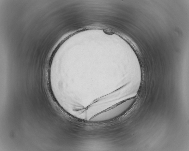 X0000111051000200908061514