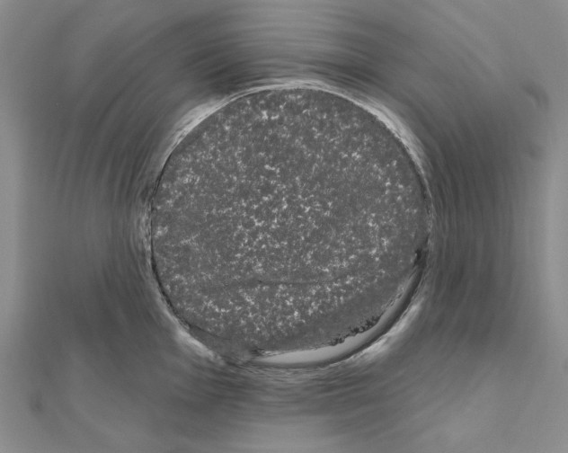 X0000111051001200908061514