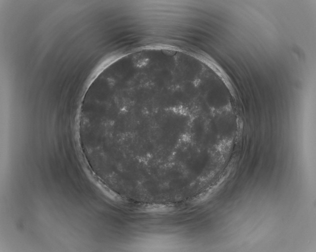 X0000111051002200908061514