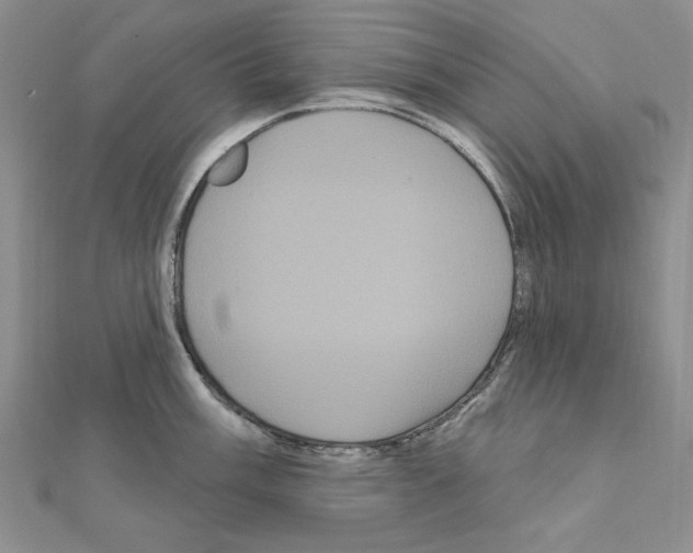 X0000111051003200908061514