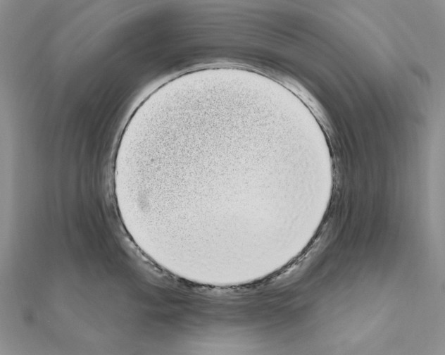 X0000111051004200908061514