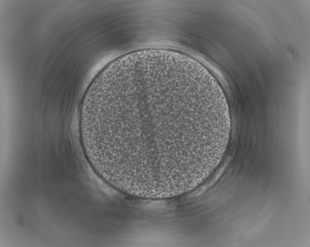 X0000111051006200908061513