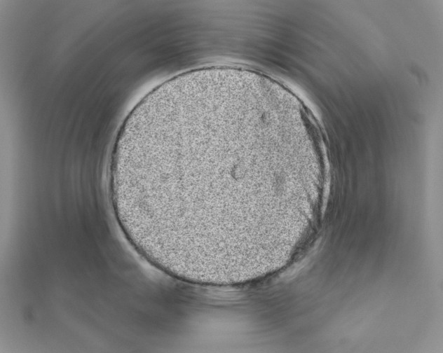 X0000111051007200908061513