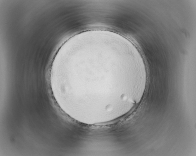 X0000111051008200908061513