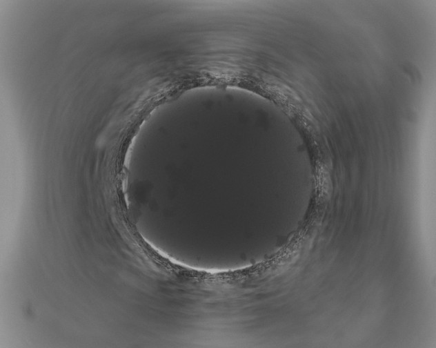 X0000111051009200908061513