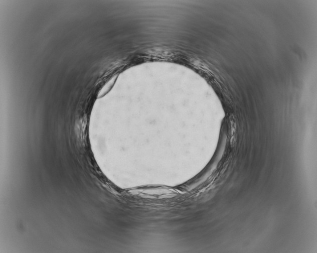 X0000111051010200908061513