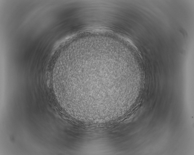 X0000111051016200908061513