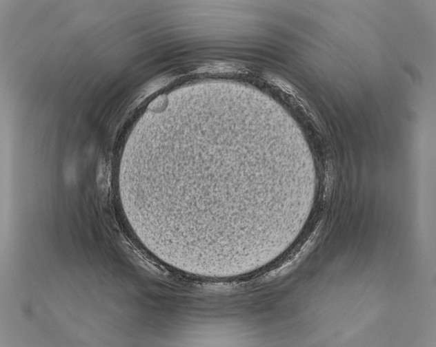 X0000111051017200908061513