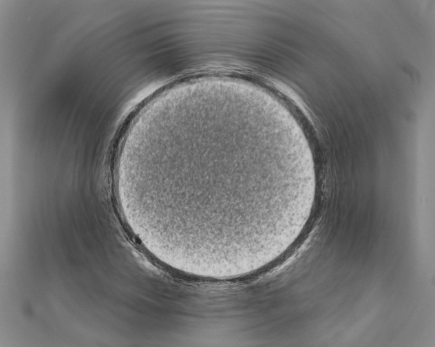 X0000111051018200908061513