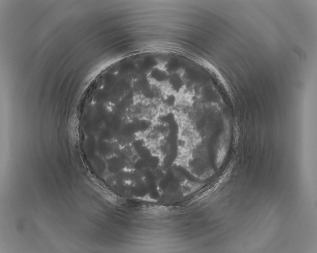 X0000111051019200908061513