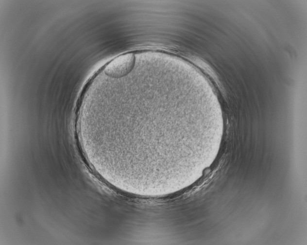 X0000111051020200908061513