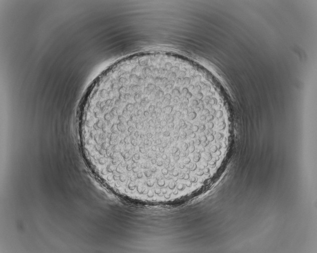 X0000111051022200908061513