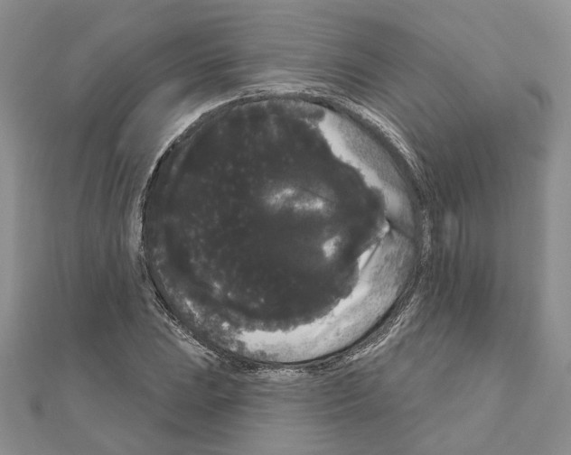 X0000111051023200908061513