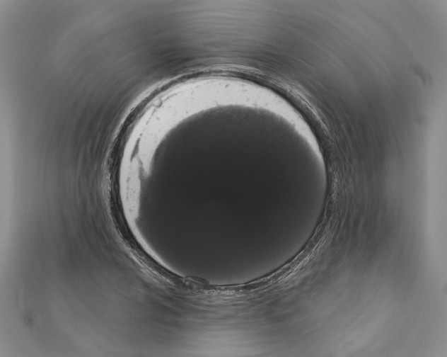 X0000111051024200908061513