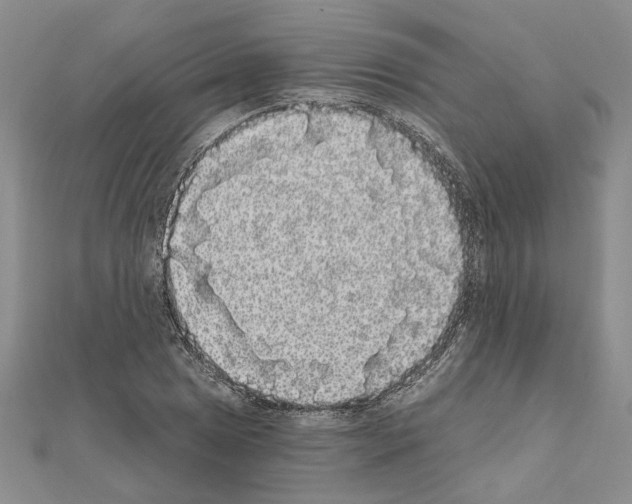 X0000111051025200908061513