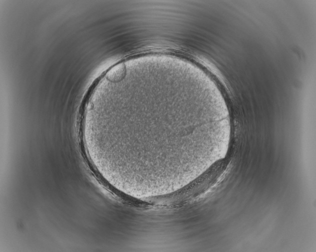 X0000111051026200908061513