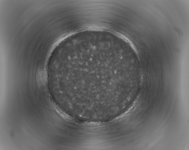 X0000111051027200908061513