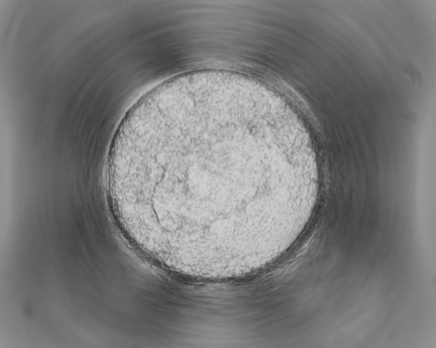 X0000111051028200908061513