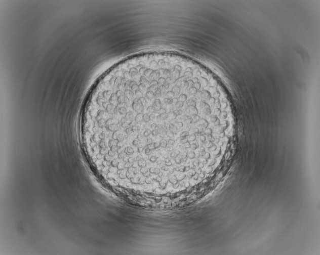 X0000111051030200908061513