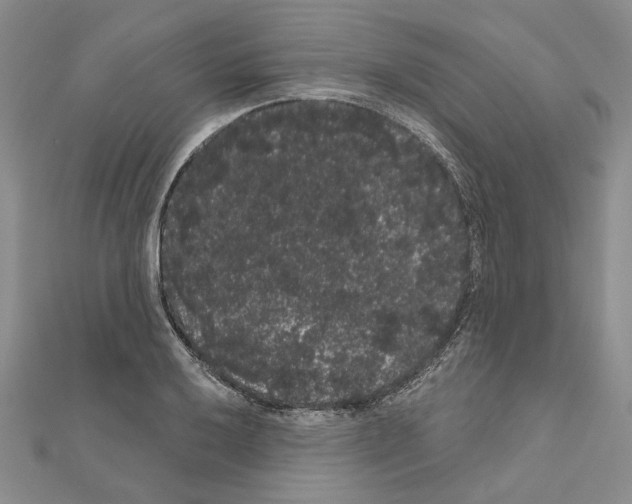 X0000111051032200908061513