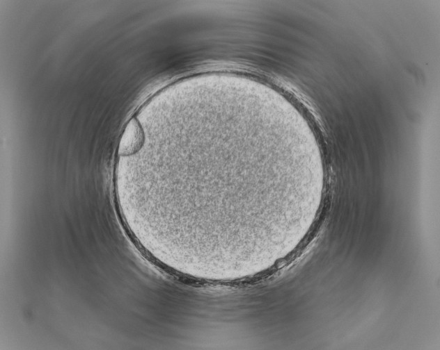 X0000111051033200908061513