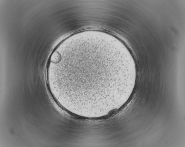 X0000111051034200908061513