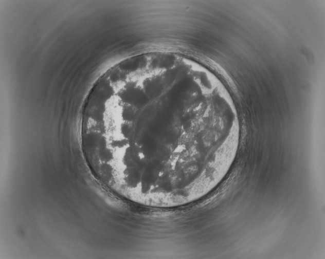 X0000111051035200908061513