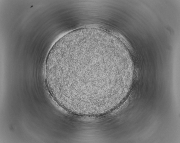 X0000111051036200908061513