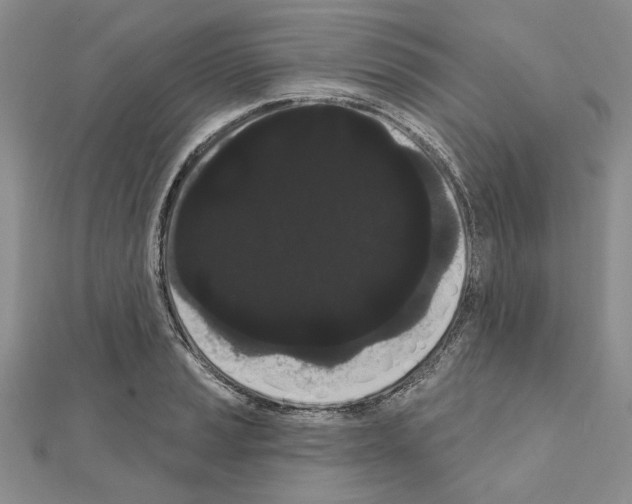 X0000111051037200908061513