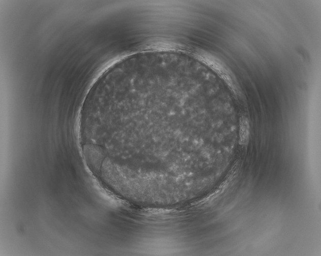 X0000111051039200908061513