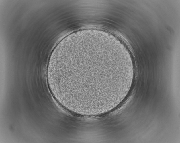 X0000111051041200908061513