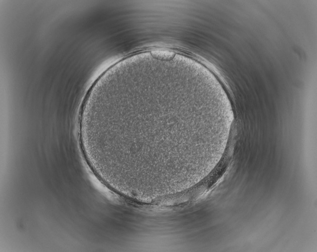 X0000111051042200908061513