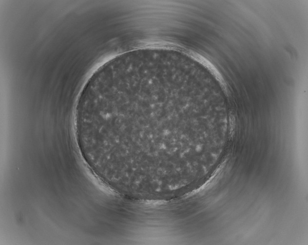 X0000111051043200908061513