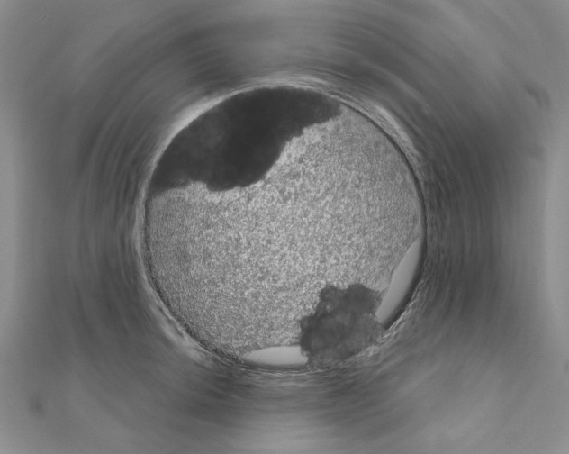 X0000111051044200908061513