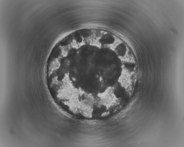 X0000111051045200908061513