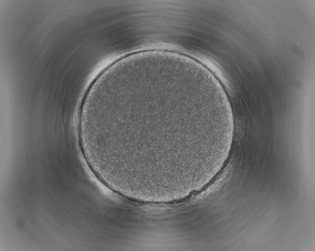 X0000111051046200908061513