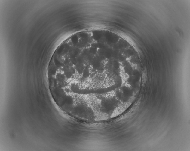 X0000111051047200908061513