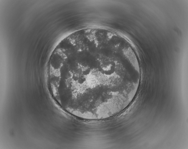 X0000111051048200908061513