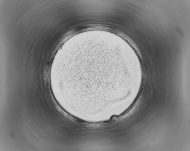 X0000111051049200908061513