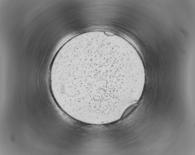 X0000111051050200908061513