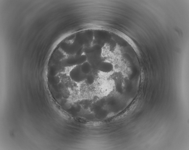 X0000111051051200908061513