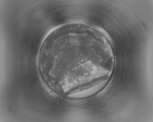 X0000111051052200908061513