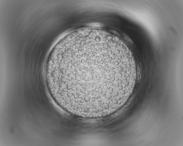 X0000111051054200908061513