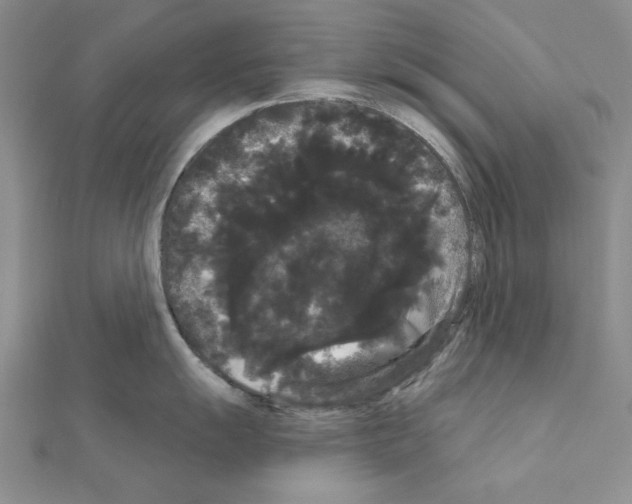 X0000111051055200908061513