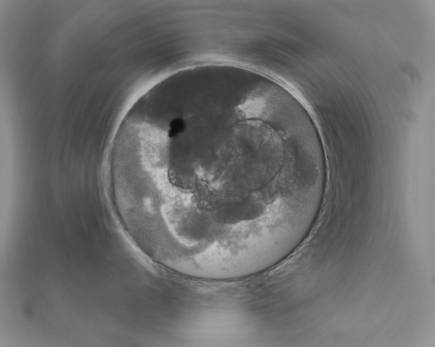 X0000111051056200908061513