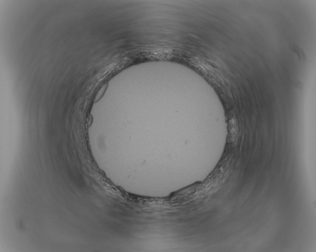 X0000111051057200908061513